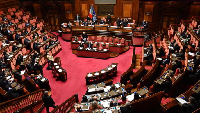 Informativa Al Senato Sulla Vi
