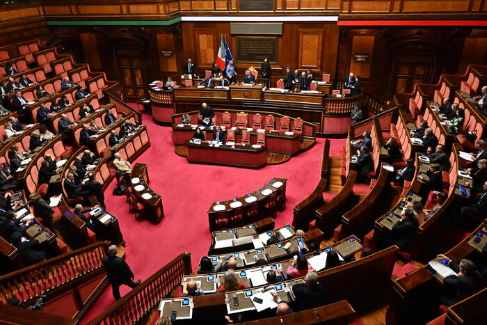 Informativa Al Senato Sulla Vi