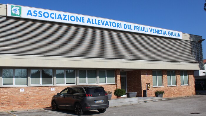 Innovazione In Friuli Venezia