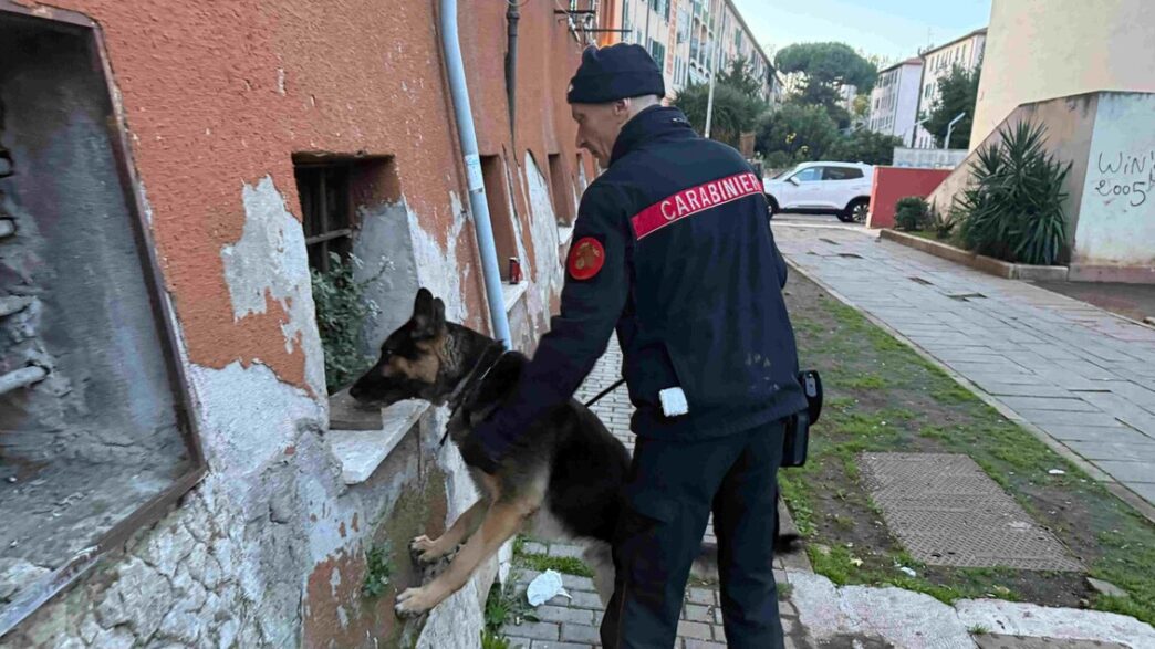 Intensificati I Controlli Anti