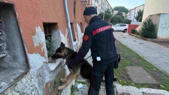 Intensificati I Controlli Anti