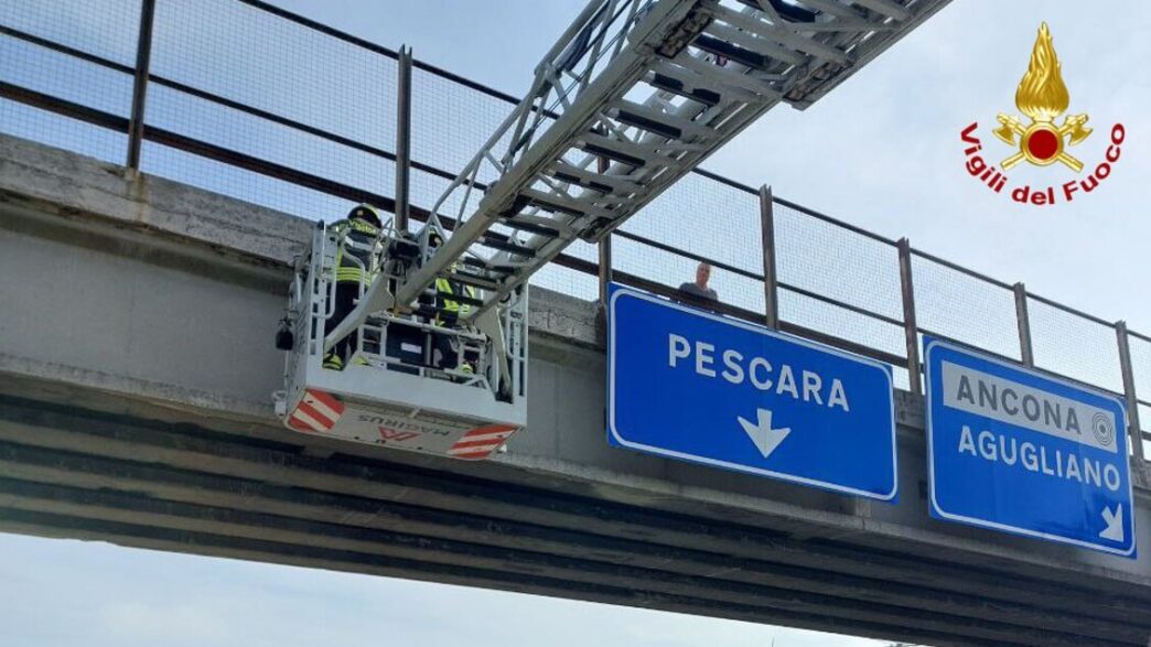 Intervento Dei Vigili Del Fuoc 4