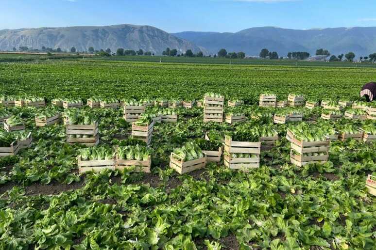 Investimenti Per La Formazione