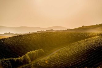 L27Abruzzo Protagonista Alla Sl