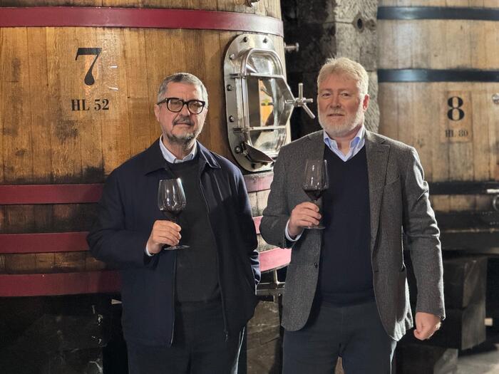 L27Acquisizione Di Tenimenti D27