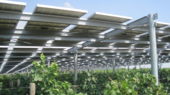 L27Agricoltura Italiana Tra Rin