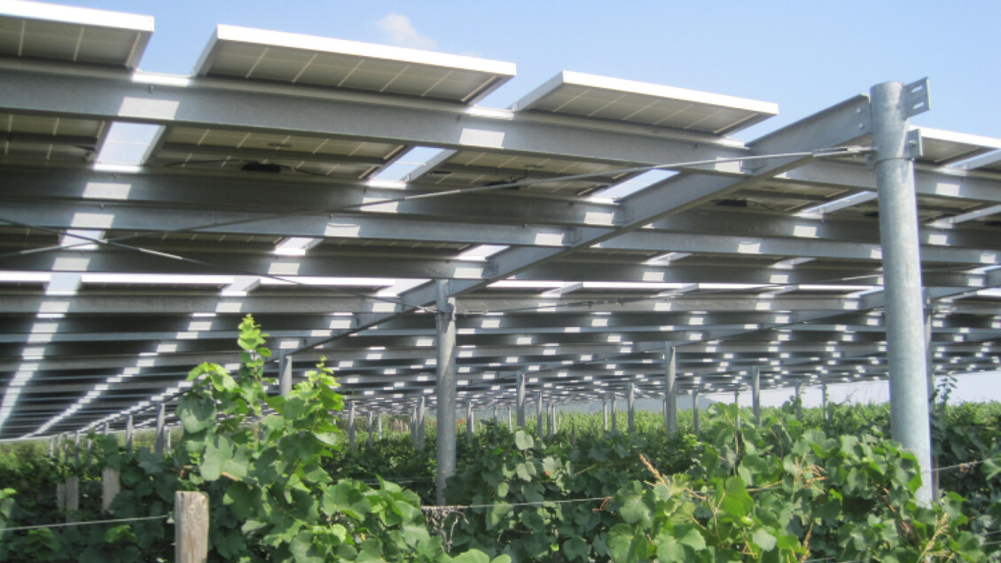 L27Agricoltura Italiana Tra Rin
