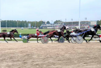 L27Ippodromo Delle Capannelle P