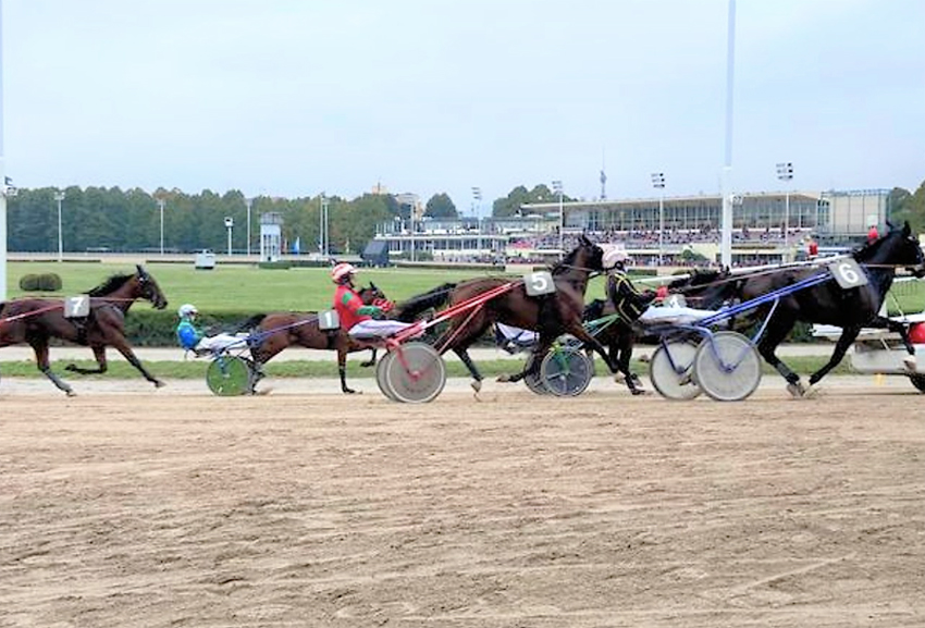 L27Ippodromo Delle Capannelle P