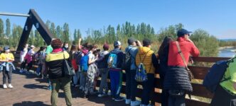 Le28099Aquila3A 80 Mila Euro Per Il