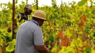 La Basilicata Promuove Le28099Econo