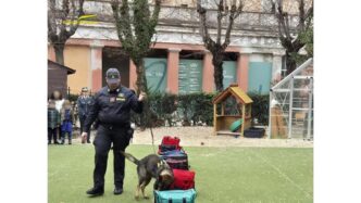 La Guardia Di Finanza Scende I
