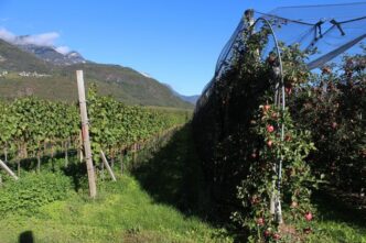 La Trentina3A Previsioni Di Cre