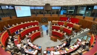 La Consigliera Maestri Critica