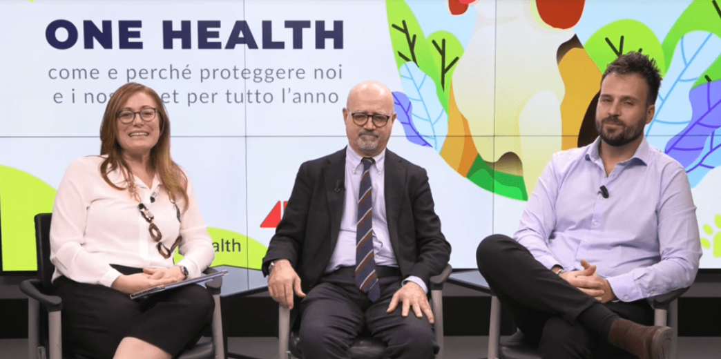 La Diffusione Di Zecche E Pulc