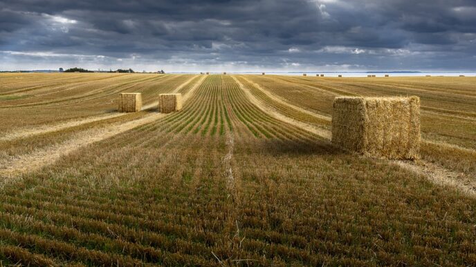 La Filiera Agroalimentare Pont