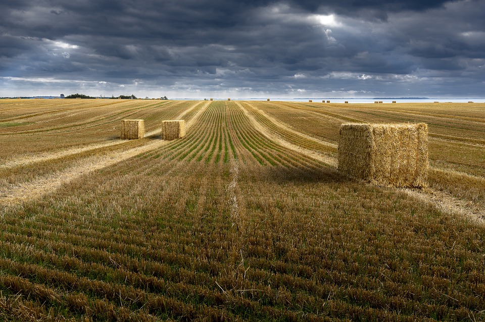La Filiera Agroalimentare Pont