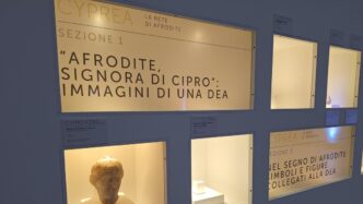 La Mostra 22Cyprea3A La Rete Di