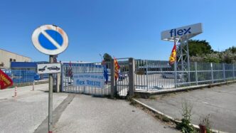 La Multinazionale Flex Si Allo