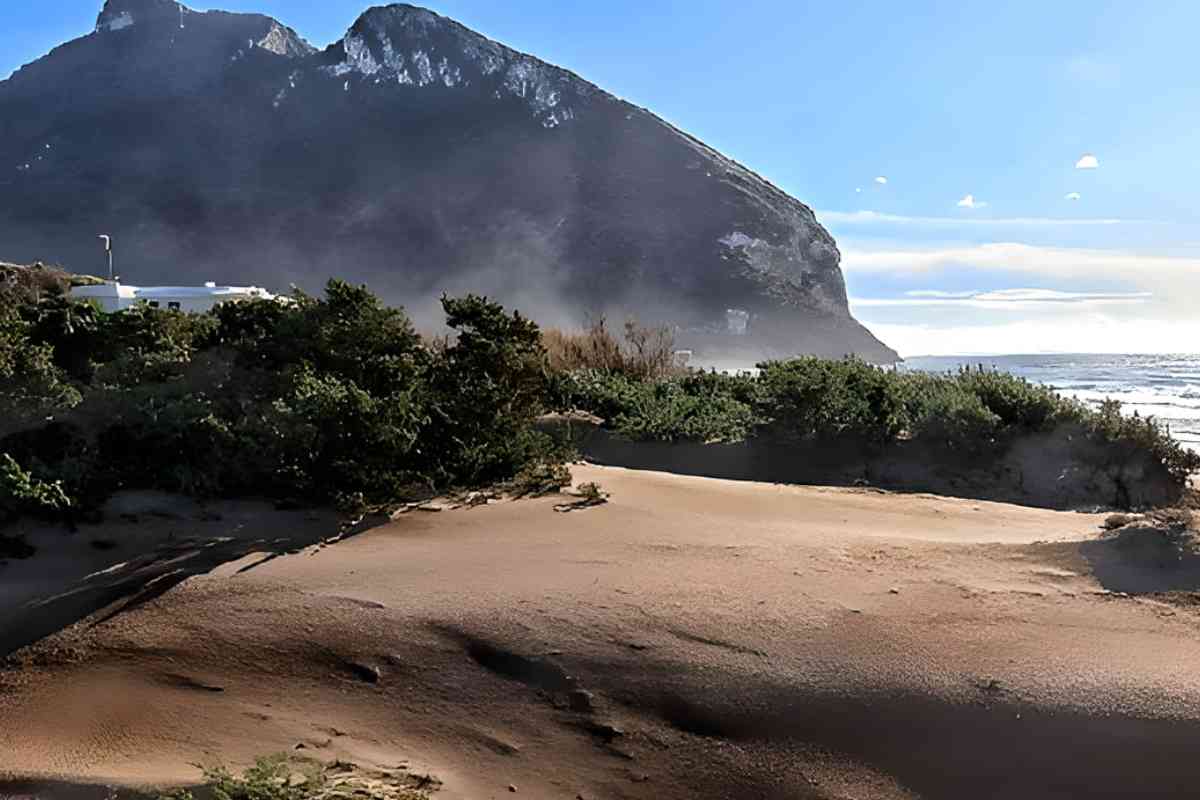 Alla Scoperta Delle Dune Di Sabbia Del Lazio, Un Posto Magico Inaspettato: Ti Sembrerà Il Sahara 5 Le Dune Di Sabaudia