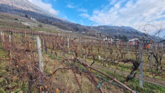 Lombardia All27Avanguardia3A Par