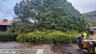 Maltempo In Toscana3A Frane E A