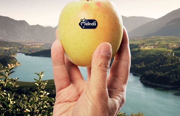 Melinda Presenta Progetti Inno