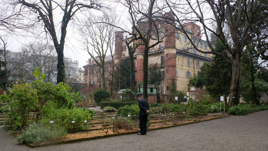 Milano Accoglie Un Nuovo Alber