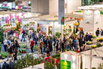 Myplant 26 Garden 20253A Il Pic3B9