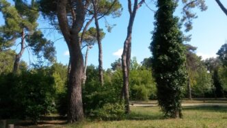 Nasce Il Premio Novelle3A Un Tr