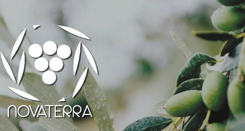 Novaterra3A Il Progetto Che Tra