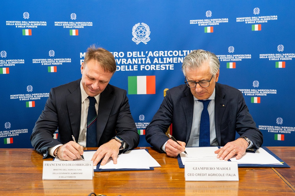 Nuova Alleanza Per Il Settore