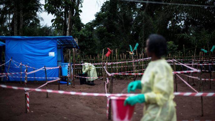 Nuova Epidemia Allerta L27Oms3A