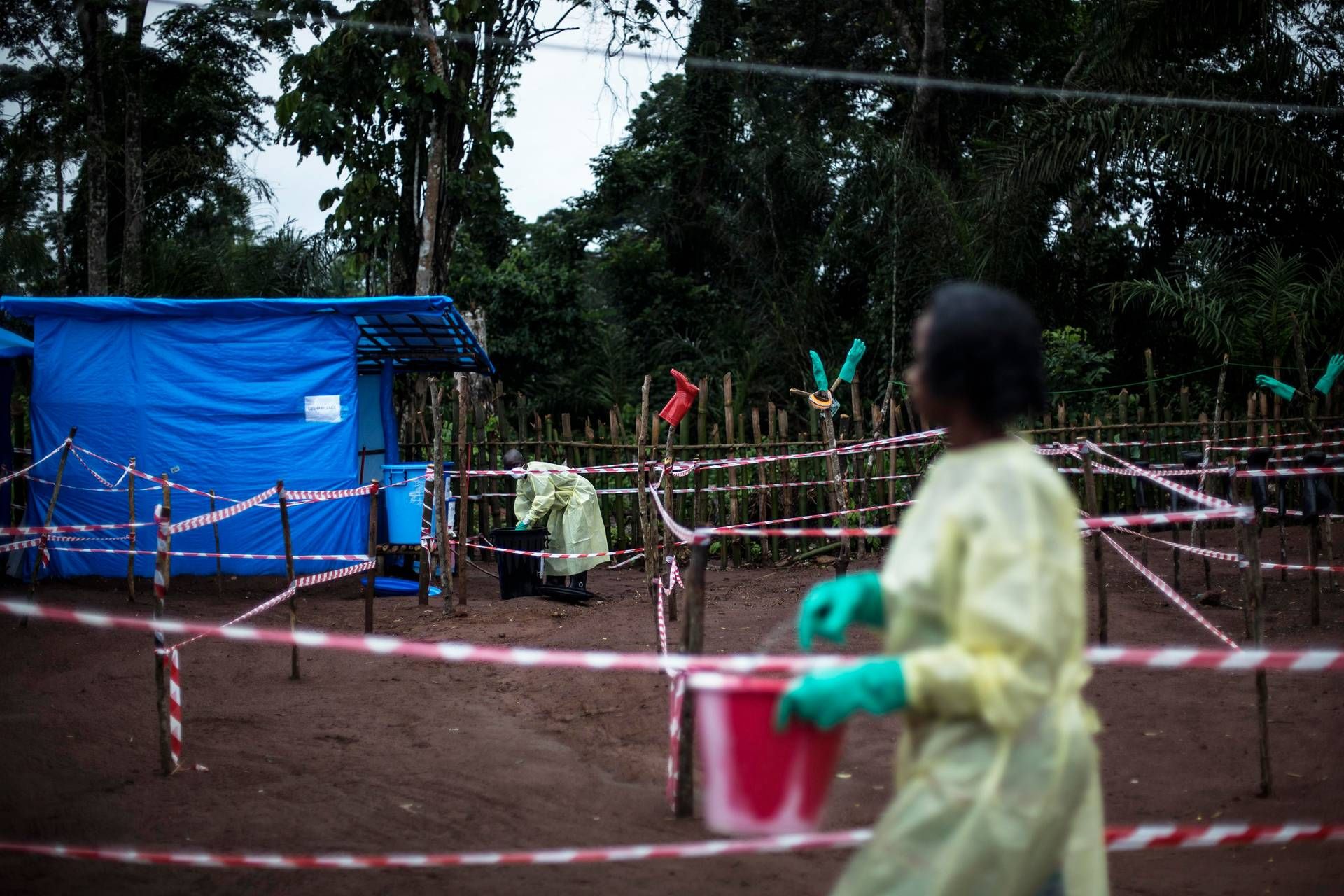 Nuova Epidemia Allerta L27Oms3A