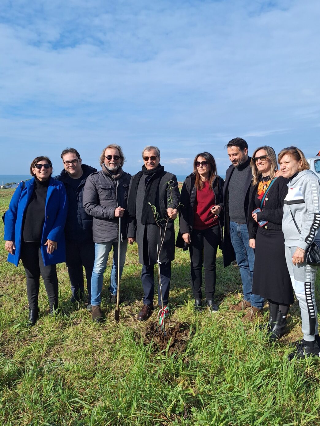Nuova Piantumazione Di Mandorl