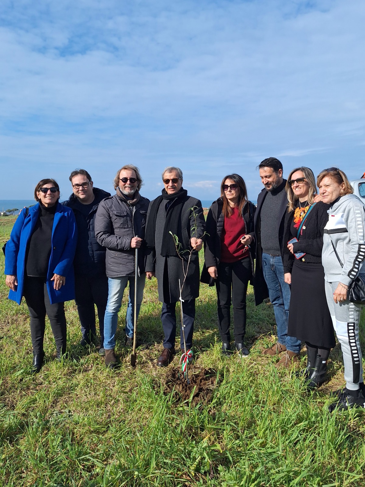 Nuova Piantumazione Di Mandorl