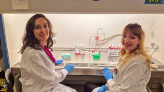 Nuove Scoperte Sul Melanoma3A L