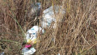 Nuovo Direttore Per Il Servizi