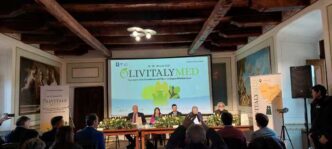 Olivitalymed 20253A Il Grande E
