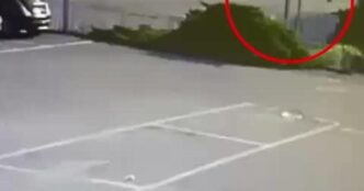 Omicidio Stradale A Ivrea3A La