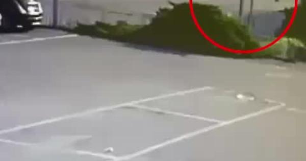 Omicidio Stradale A Ivrea3A La