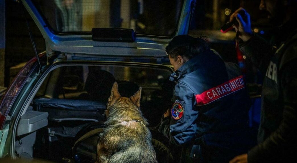 Operazione Tibus3A Smantellata