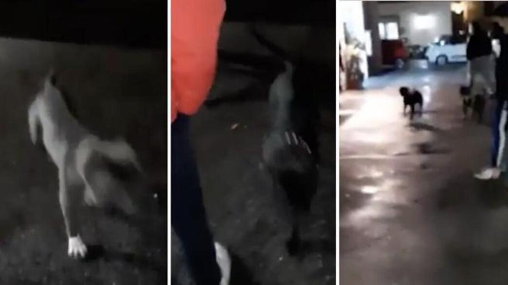 Ostia3A Uomo Gravemente Ferito