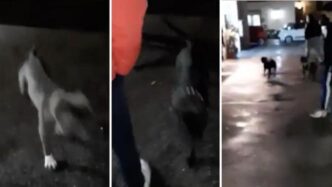 Ostia3A Uomo Gravemente Ferito