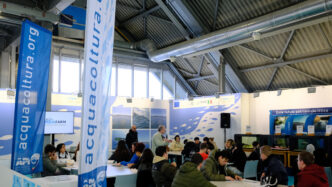 Presentato Il Primo Manuale It
