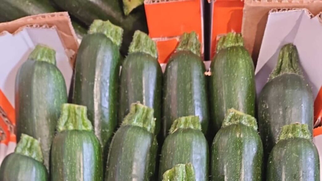 Prezzi Delle Zucchine Lunghe S