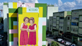 Processo In Appello Per Gli St