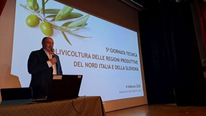 Produzione Di Olive E Olio Di