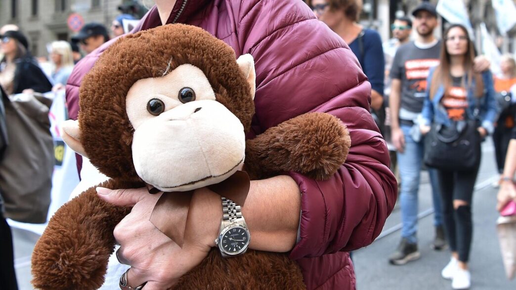 Protesa A Ferrara Contro La Vi