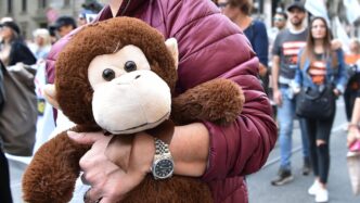 Protesa A Ferrara Contro La Vi